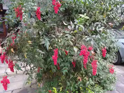 京都大神宮(京都府)