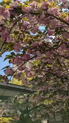 和光寺(大阪府)