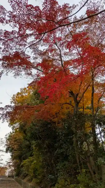 光明寺(粟生光明寺)(京都府)