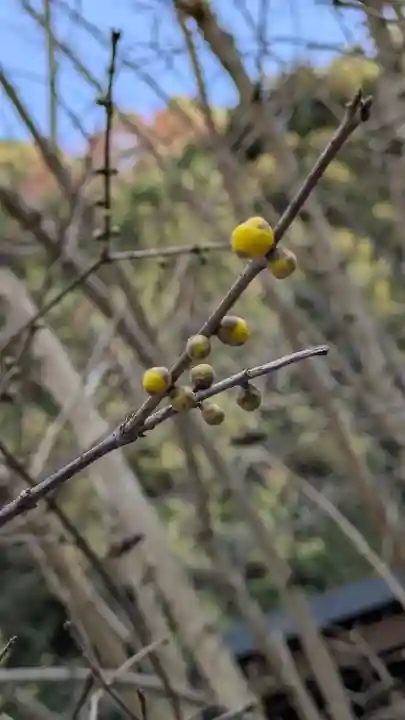 大豊神社(京都府)