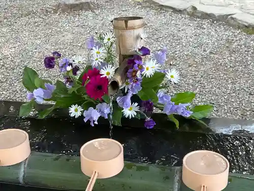 武蔵一宮氷川神社(埼玉県)