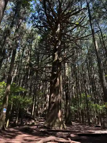 武甲山御嶽神社(埼玉県)