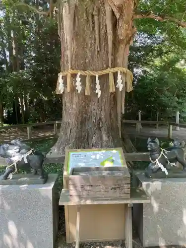 水戸八幡宮(茨城県)