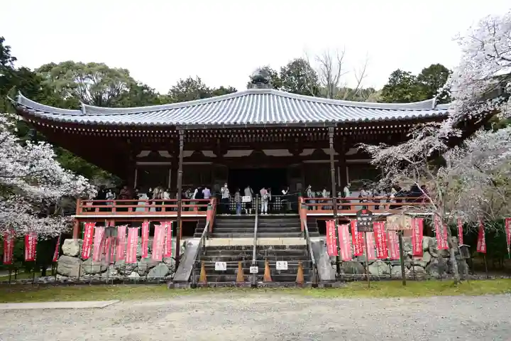醍醐寺(京都府)