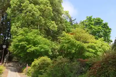 豊景神社の景色