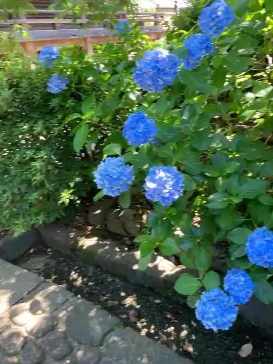 護国寺(東京都)