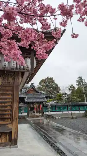 大歳神社(京都府)
