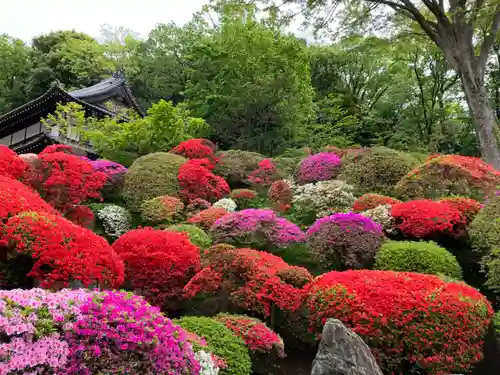 等覚院(神奈川県)