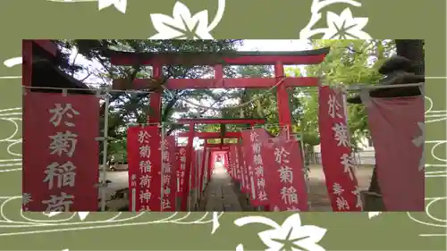於菊稲荷神社(群馬県)