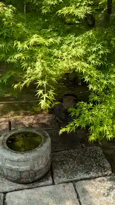 勝林寺(京都府)