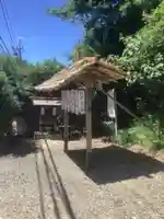 津島神社(樹木)(愛知県)