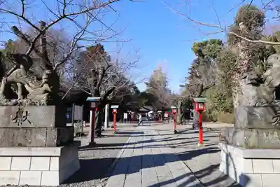 鷲宮神社(埼玉県)