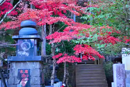 大山阿夫利神社(神奈川県)