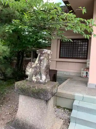 高山神社の狛犬