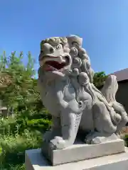 中幌向神社の狛犬