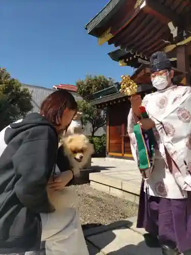 厄除の宮　駒林神社の体験その他