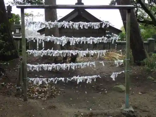 椎宮八幡神社のおみくじ