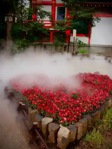 川越八幡宮の{uncategorized: "未分類", other: "その他", undefined: "問題あり", building: "その他建物", grave: "お墓", sacred_gate: "鳥居", guardian: "狛犬", statue: "像", buddha: "仏像", history: "歴史", nature: "自然", garden: "庭園", animal: "動物", pagoda: "塔", temizu: "手水舎", mountain_gate: "山門・神門", sanctuary: "本殿・本堂", subordinate: "末社・摂社", art: "芸術", scenery: "景色", jizo: "地蔵", ema: "絵馬", goshuin: "御朱印", omikuji: "おみくじ", items: "授与品その他", amulet: "お守り", goshuincho: "御朱印帳", eats: "食事", festival: "お祭り", votive_dance: "神楽", shichigosan: "七五三参", wedding: "結婚式", experience: "体験その他", initially: "初詣", around: "周辺", anti_infection: "感染症対策"}