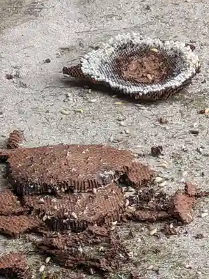 石内のお大師さん　金剛院(広島県)