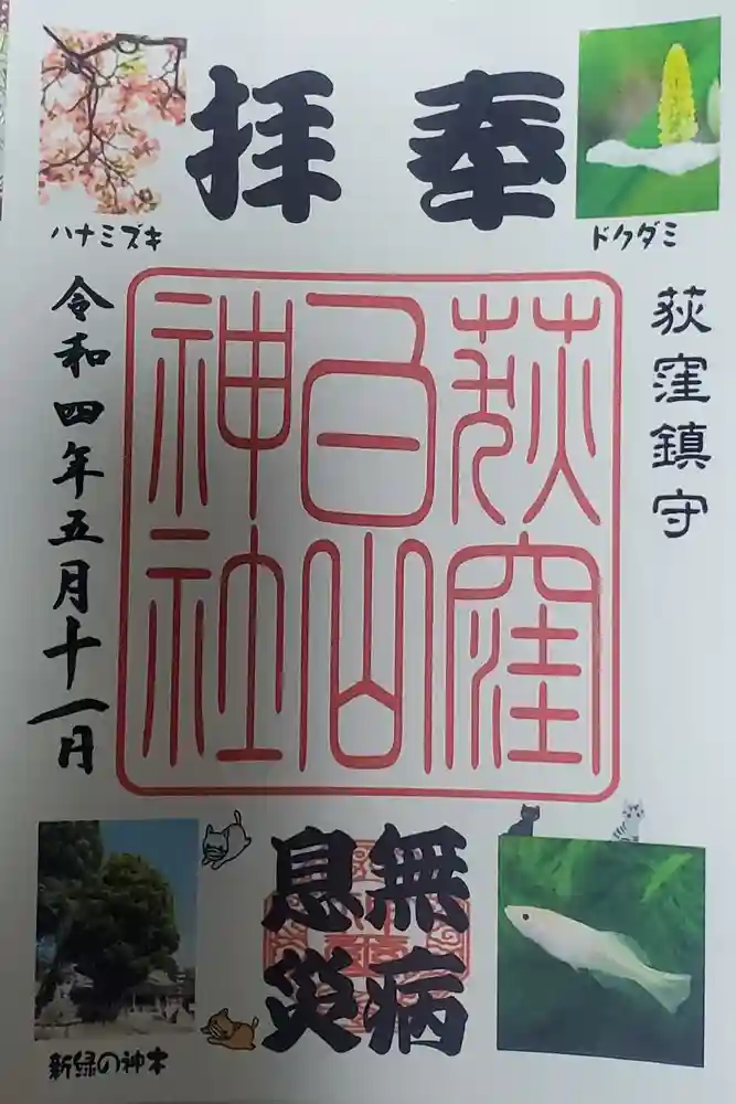 荻窪白山神社の御朱印