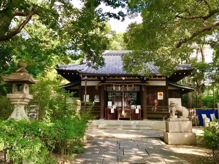 安居神社の本殿・本堂