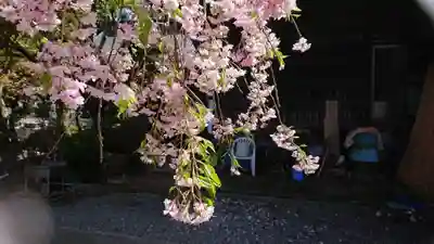 上行寺(山梨県)