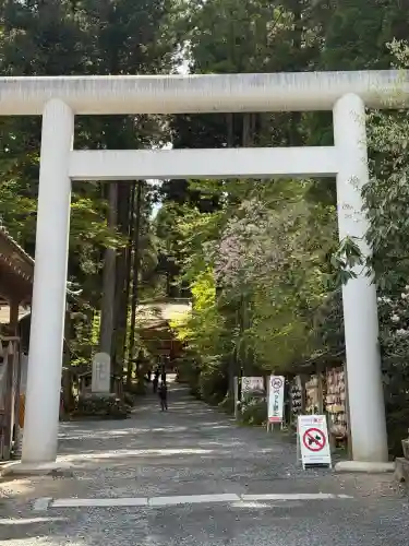 御岩神社の{uncategorized: "未分類", other: "その他", undefined: "問題あり", building: "その他建物", grave: "お墓", sacred_gate: "鳥居", guardian: "狛犬", statue: "像", buddha: "仏像", history: "歴史", nature: "自然", garden: "庭園", animal: "動物", pagoda: "塔", temizu: "手水舎", mountain_gate: "山門・神門", sanctuary: "本殿・本堂", subordinate: "末社・摂社", art: "芸術", scenery: "景色", jizo: "地蔵", ema: "絵馬", goshuin: "御朱印", omikuji: "おみくじ", items: "授与品その他", amulet: "お守り", goshuincho: "御朱印帳", eats: "食事", festival: "お祭り", votive_dance: "神楽", shichigosan: "七五三参", wedding: "結婚式", experience: "体験その他", initially: "初詣", around: "周辺", anti_infection: "感染症対策"}