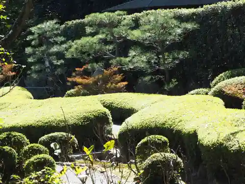 長壽寺（長寿寺）(神奈川県)