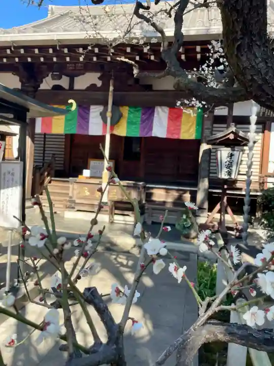 常性寺の{uncategorized: "未分類", other: "その他", undefined: "問題あり", building: "その他建物", grave: "お墓", sacred_gate: "鳥居", guardian: "狛犬", statue: "像", buddha: "仏像", history: "歴史", nature: "自然", garden: "庭園", animal: "動物", pagoda: "塔", temizu: "手水舎", mountain_gate: "山門・神門", sanctuary: "本殿・本堂", subordinate: "末社・摂社", art: "芸術", scenery: "景色", jizo: "地蔵", ema: "絵馬", goshuin: "御朱印", omikuji: "おみくじ", items: "授与品その他", amulet: "お守り", goshuincho: "御朱印帳", eats: "食事", festival: "お祭り", votive_dance: "神楽", shichigosan: "七五三参", wedding: "結婚式", experience: "体験その他", initially: "初詣", around: "周辺", anti_infection: "感染症対策"}