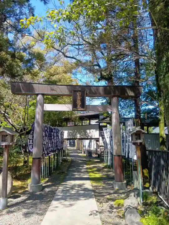 白金龍王社(愛知県)