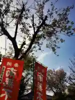 東光寺別院桜ヶ池不動院(東京都)