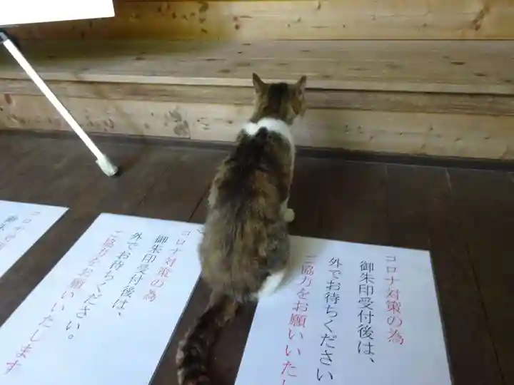 小松寺の動物