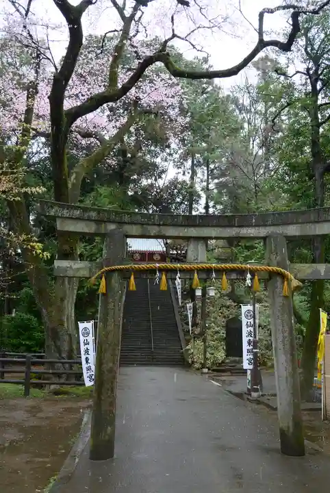 仙波東照宮の鳥居