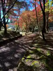 鶏足寺(滋賀県)