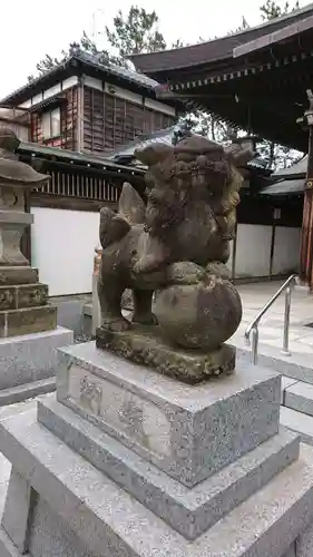 坂井神社の狛犬