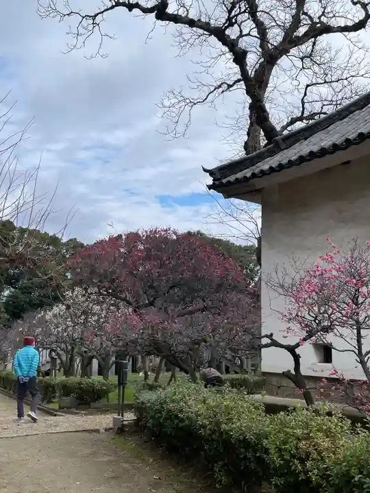道明寺天満宮(大阪府)