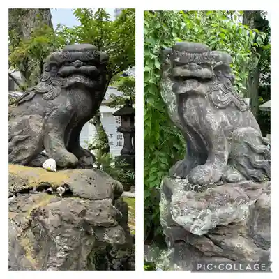 高木神社の狛犬