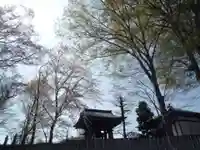 富蔵院のその他建物