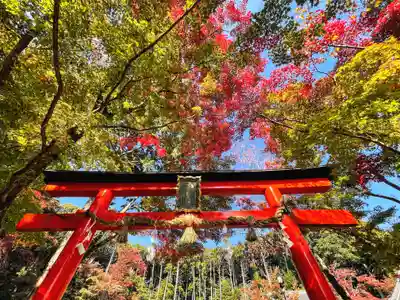 大原野神社の鳥居