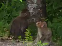御嶽神社(王滝口)里宮(長野県)