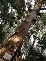麻賀多神社の自然