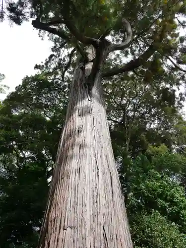 事任八幡宮の建物その他