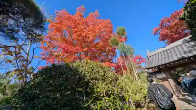 源光庵(京都府)