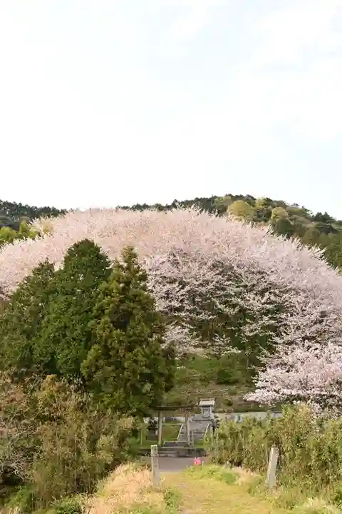 熊野神社(愛媛県)