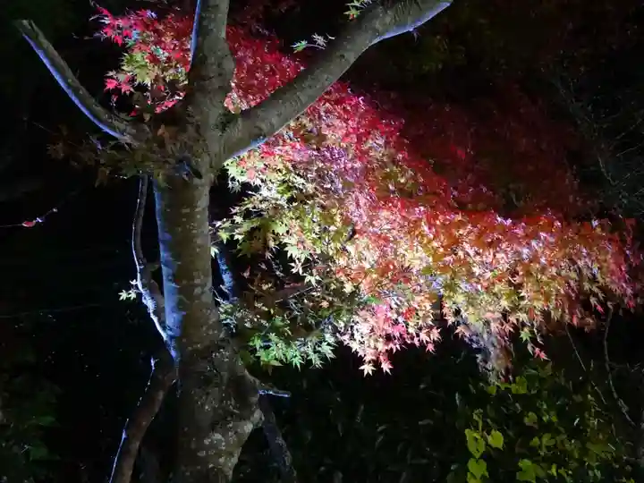 大山阿夫利神社(神奈川県)