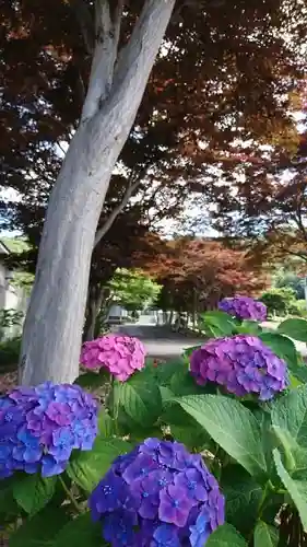 明鏡山龍雲寺の自然