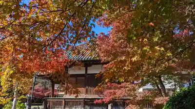 乙訓寺(京都府)