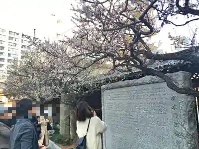 湯島天満宮のその他建物