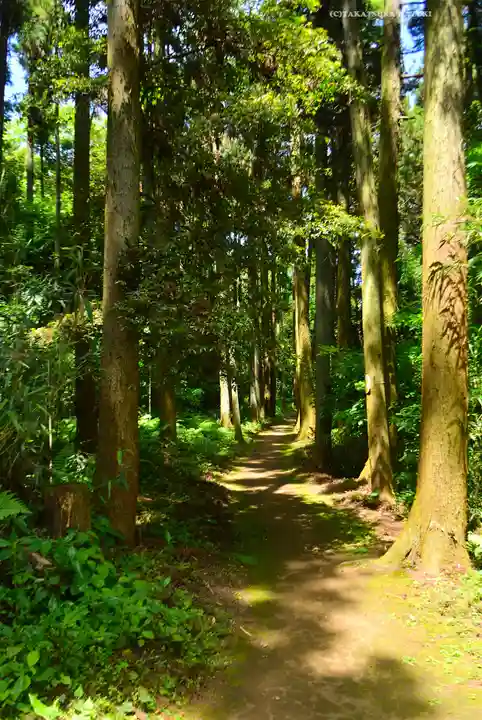 熊野神社(神奈川県)