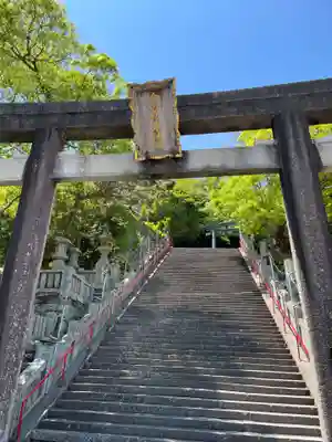 金刀比羅神社(徳島県)